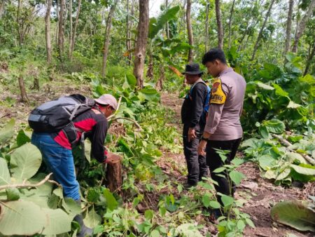 AKTIVIS LINGKUNGAN DUKUNG PENANGKAPAN PEMBALAK LIAR DI KABUPATEN MALANG