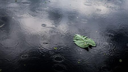 Prakiraan Cuaca Sumatera Barat Hari Ini: 3 Wilayah Tak Terkena Hujan