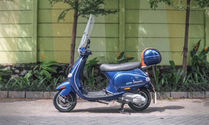 Eksotisme Bunga: Rahasia Jenis Langka yang Disukai Kolektor Global