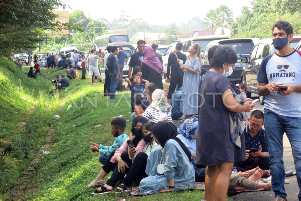 Wamenpar Puspa Sidak Bogor, Pastikan Keamanan Wisatawan dari Pohon Tumbang hingga Jalur Evakuasi
