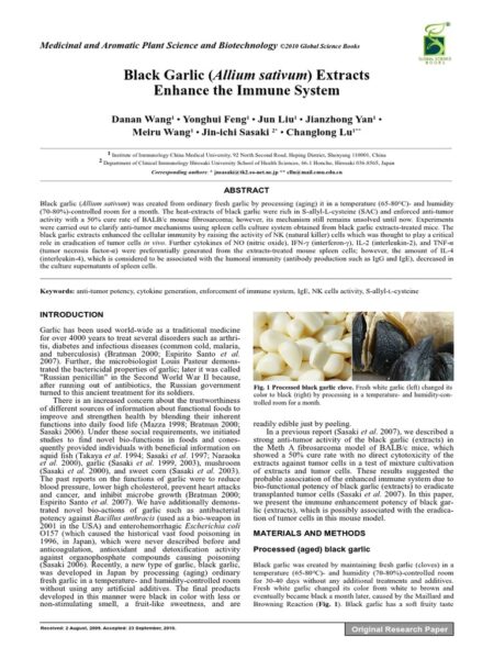 Manfaat Bawang Putih untuk Imun, Darah, dan Pencernaan Berdasarkan Penelitian