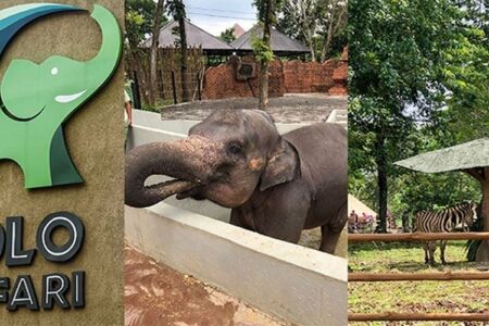 Panduan liburan keluarga di Solo Safari dengan harga spesial Tahun Baru 2026