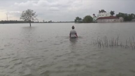 130 hektare sawah Ploso Jombang terendam banjir Kali Marmoyo, petani panik