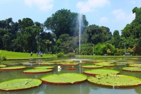 10 Destinasi Alam Bogor untuk Tahun Baru 2026, Ideal untuk Liburan dan Melepas Stres