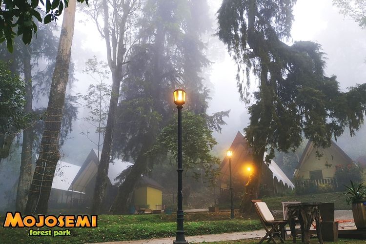 10 destinasi wisata Magetan terbaik untuk liburan 2026