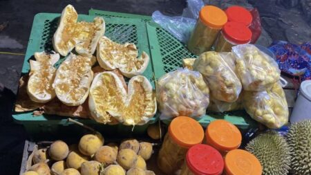 Populer Kalteng: Proyek Tahunan Ruang Terbuka Hijau Eks Disnakertrans, Kuliner Mandai Khas