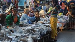 Pasar Ikan Pangandaran: Daftar Lengkap Komoditas dan Daya Tariknya