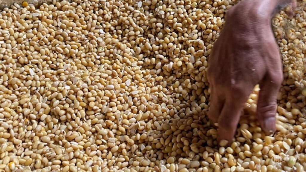 Pria Lampung Jadi Raja Tempe Indonesia di Jepang: Omzet Rp320 Juta Bulanan dan Kuliahkan Anak di AS