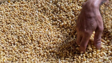 Pria Lampung Jadi Raja Tempe Indonesia di Jepang: Omzet Rp320 Juta Bulanan dan Kuliahkan Anak di AS