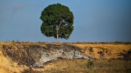 Pemerintah gugat perusahaan bencana Sumatra Rp4,8 triliun, efektifkah?