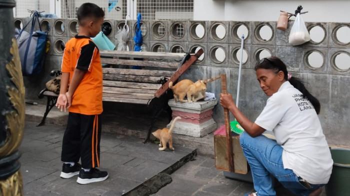 Mak Kucing: Penjaga Kucing Liar di Kota Lama Semarang