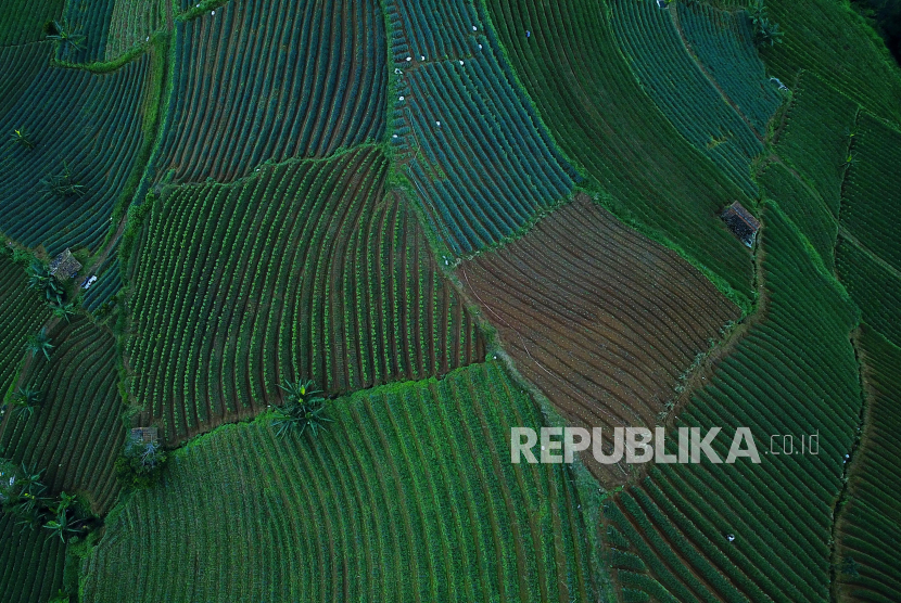 Polemik Mata Air di Kuningan: Data di Meja vs Fakta di Lapangan