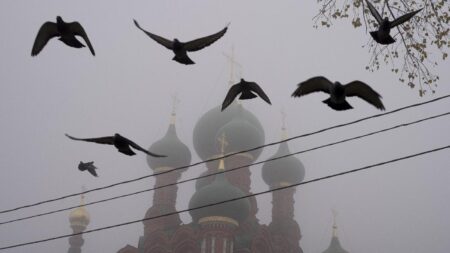 Migrasi Burung Gajahan dari Rusia ke Trenggalek, Singgah di Pantai Cengkrong Watulimo