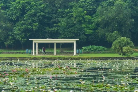 7 Destinasi Wisata Bogor Paling Segar 2026, Ada Spot Viral dan Instagramable!