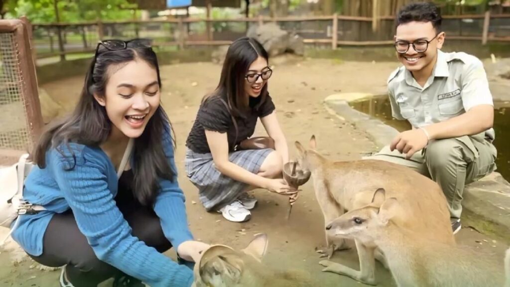 Harga Tiket Solo Safari: Promo Januari 2026, Anak Gratis