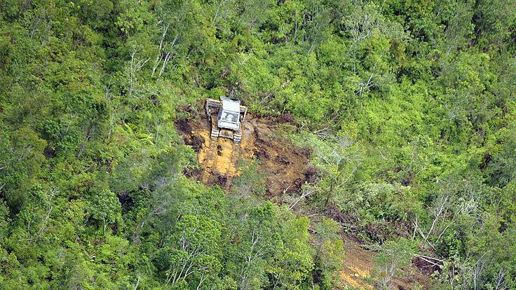 Tanah Tercicir Bisa Disita Negara, Apa Tujuan Prabowo?