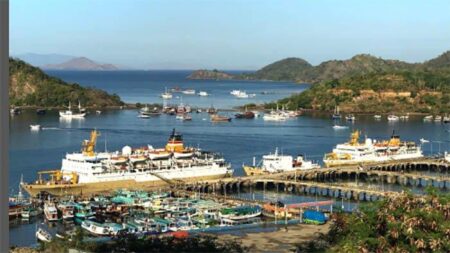 Jadwal KM Wilis 18 Februari – 10 Maret 2026: Rute Ke Kalabahi, Kupang, Ende