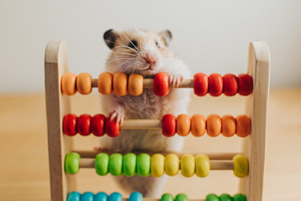 Manusia dan Hewan Sama-Sama Berpikir Logis, Tapi Pengukurannya Tidak Mudah