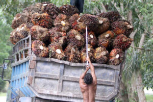 Mengintip nasib ekspor CPO di tengah krisis Timur Tengah