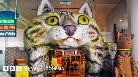 WNA Inggris Babak Belur Bawa Pisau di Shelter Kucing Tangsel, Sudah Overstay Sejak 2025