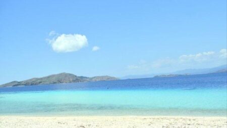 Wisata NTT: 4 Spot Diving Menakjubkan di Labuan Bajo, Surga Bawah Air Manggarai Barat