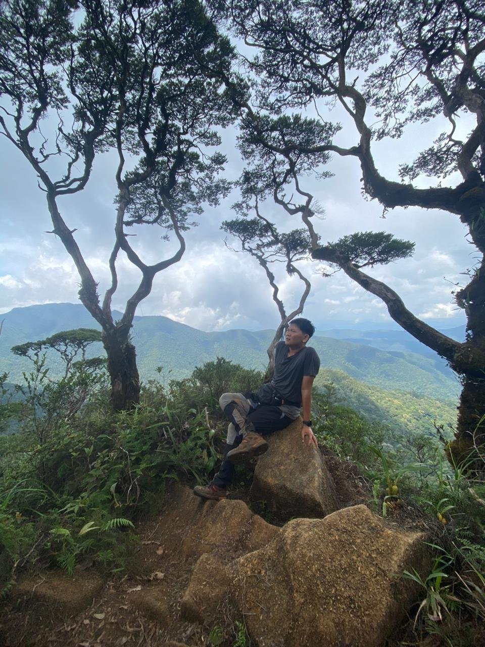 Mengapa Bonsai Tetap Kecil Meski Berusia Ratusan Tahun?