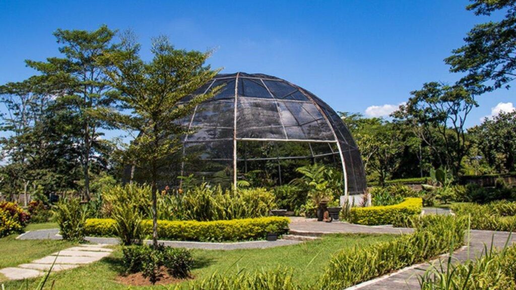Wisata Kebun Raya Indrokilo Boyolali, Liburan Seru dan Edukasi Menyenangkan
