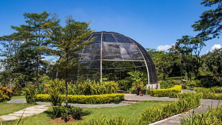 Wisata Kebun Raya Indrokilo Boyolali, Liburan Seru dan Edukasi Menyenangkan