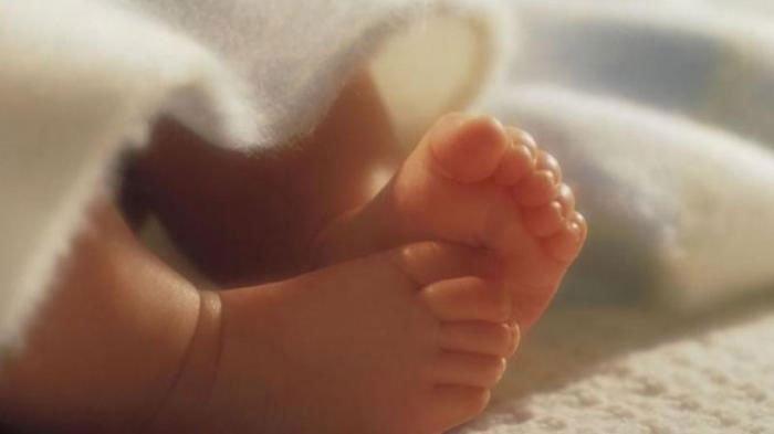 Penitipan 12 Bayi di Rumah Bidan Yogyakarta, Hasil Hubungan Luar Nikah Tanpa Izin