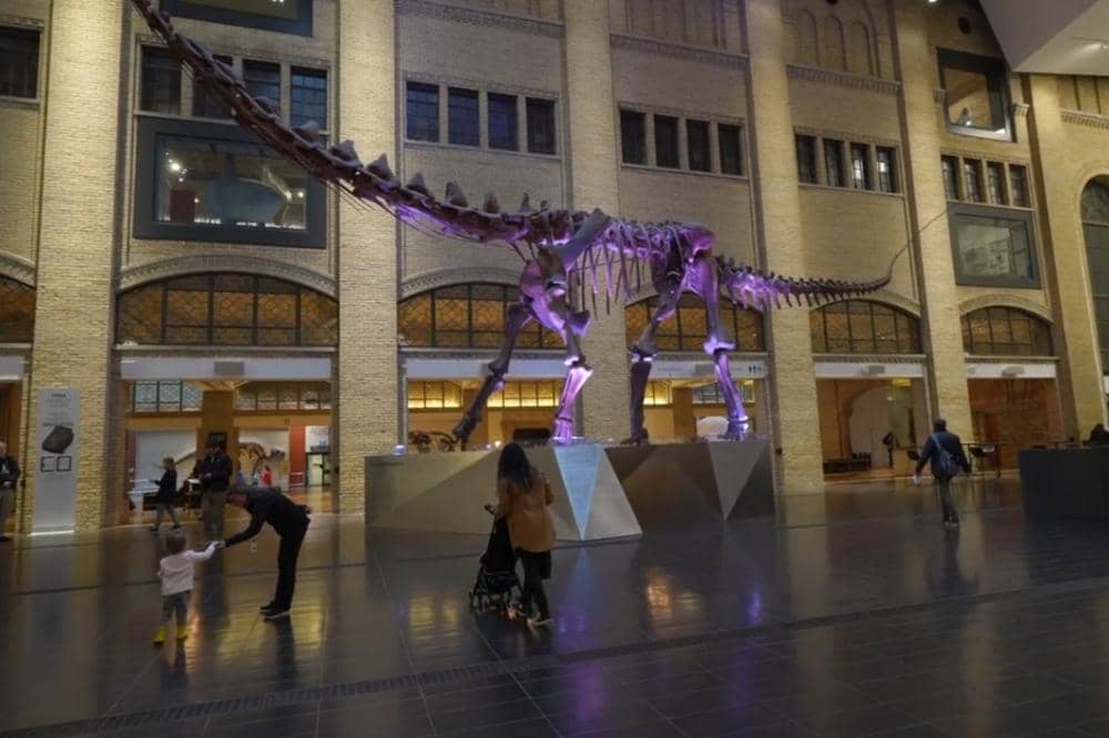 7 destinasi wisata anak di Toronto yang menarik dan edukatif!