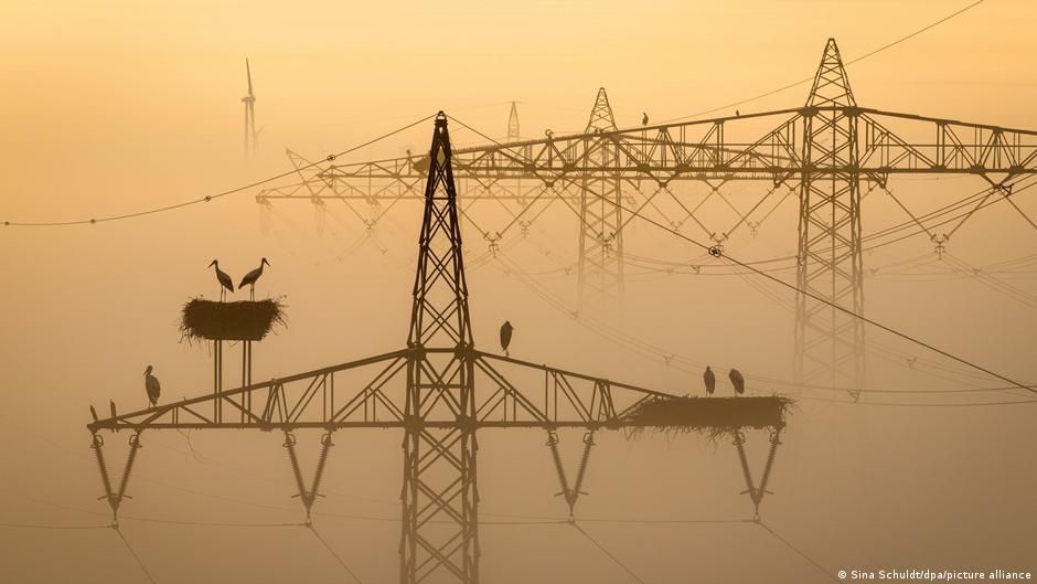Energi hijau melimpah, mengapa masih krisis?