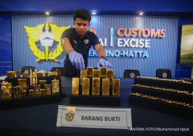 AI dan DSI Gantikan Bea Cukai, Ekonom Kritik Keras