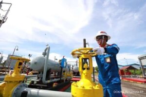 Kelola 22 Lapangan Migas, Pertamina EP Capai 205.000 BOEPD Tahun Ini