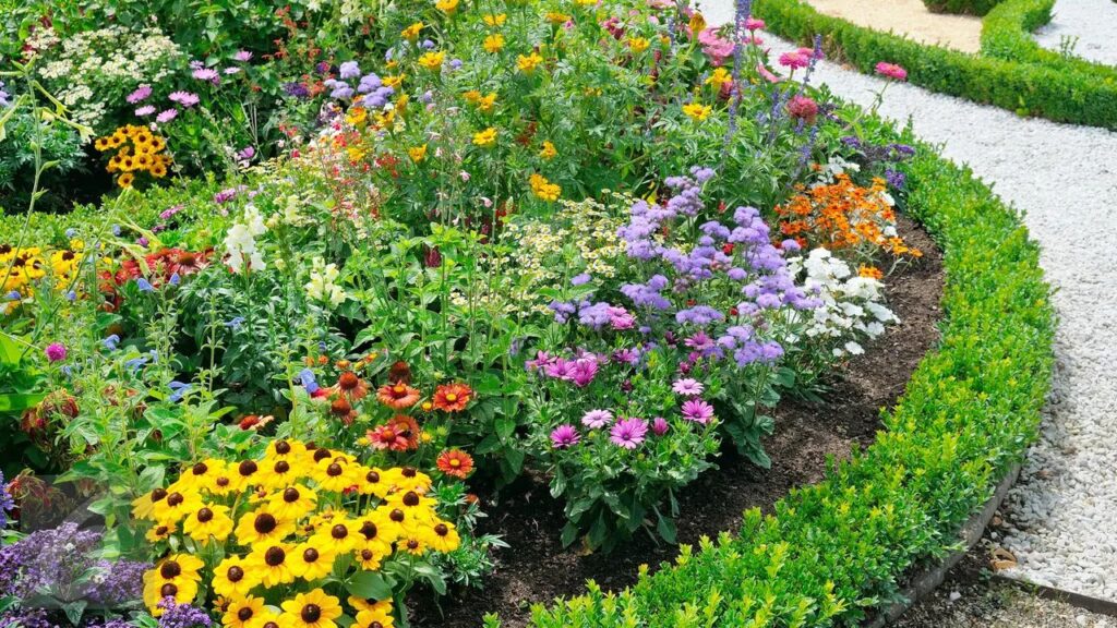10 jenis bunga hias untuk taman tropis!