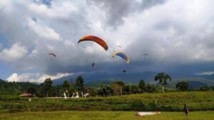 Rekomendasi wisata hemat di Karanganyar: Nikmati pemandangan kebun teh Kemuning