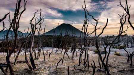 Papa Mama Wajib Tahu 5 Tempat Wisata Seru di Garut untuk Liburan Sekolah