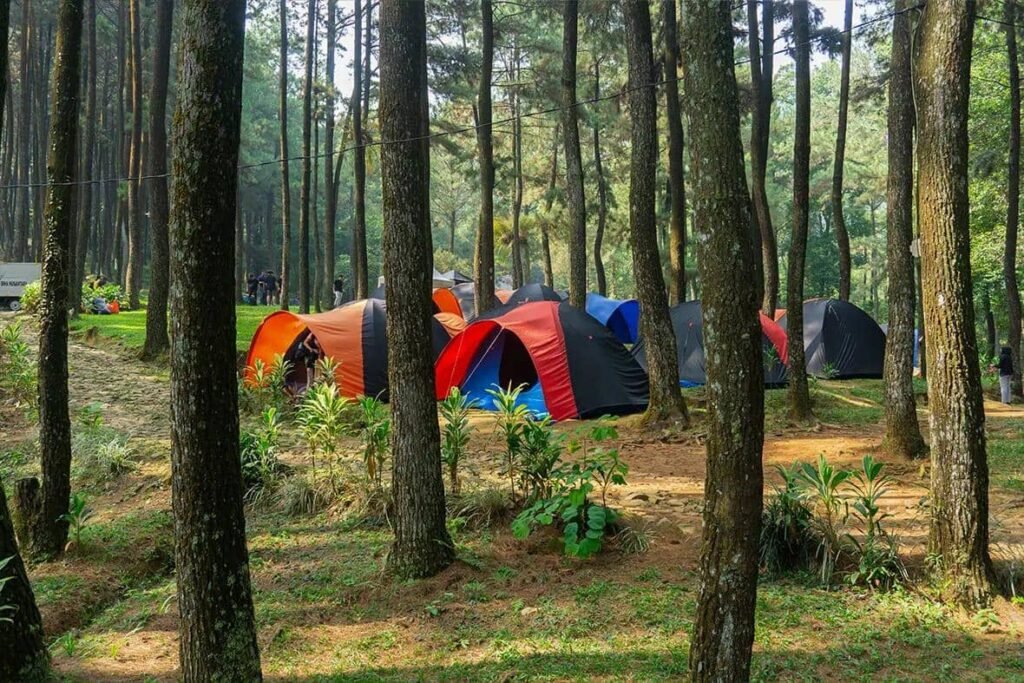 8 rekomendasi lokasi camping indah di Sentul