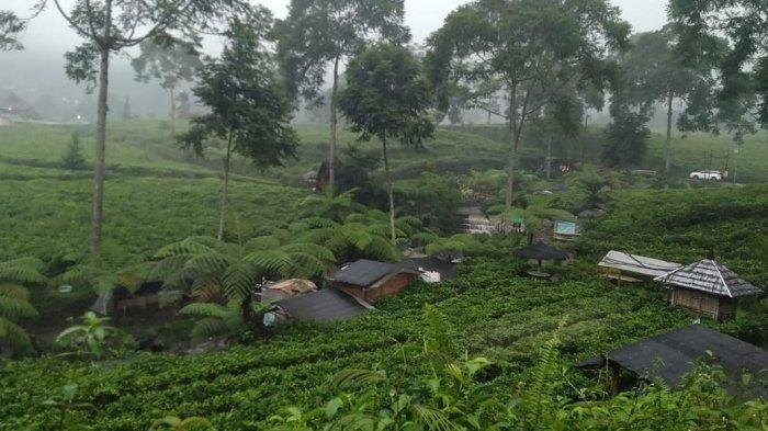 5 Destinasi Sejuk di Karanganyar, Pelarian Sempurna Saat Cuaca Panas
