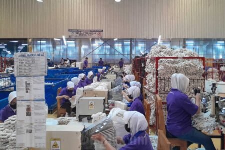 Ekonom khawatirkan obsesi kejar pertumbuhan ekonomi, produktivitas tenaga kerja tersisih
